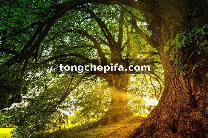 电竞牛选手数据榜单服务配图