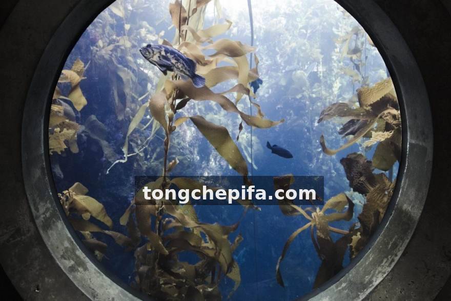 电竞牛选手数据榜更新：分均经济与参团率双维度解析